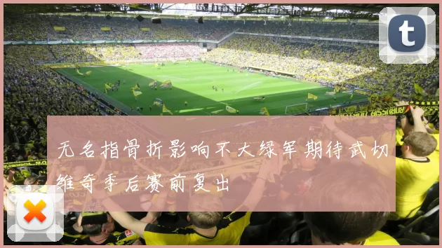 无名指骨折影响不大绿军期待武切维奇季后赛前复出