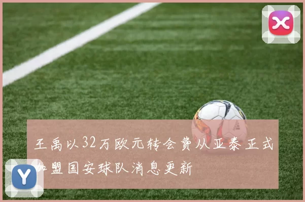 王禹以32万欧元转会费从亚泰正式加盟国安球队消息更新