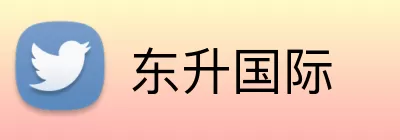 东升国际 Logo